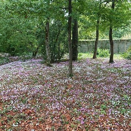 Le Buisson Otel Montlouis-sur-Loire Dış mekan fotoğraf