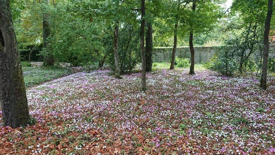 Le Buisson Otel Montlouis-sur-Loire Dış mekan fotoğraf